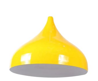 Contemporary decoration metal stainless steel black lampshade dust cover3